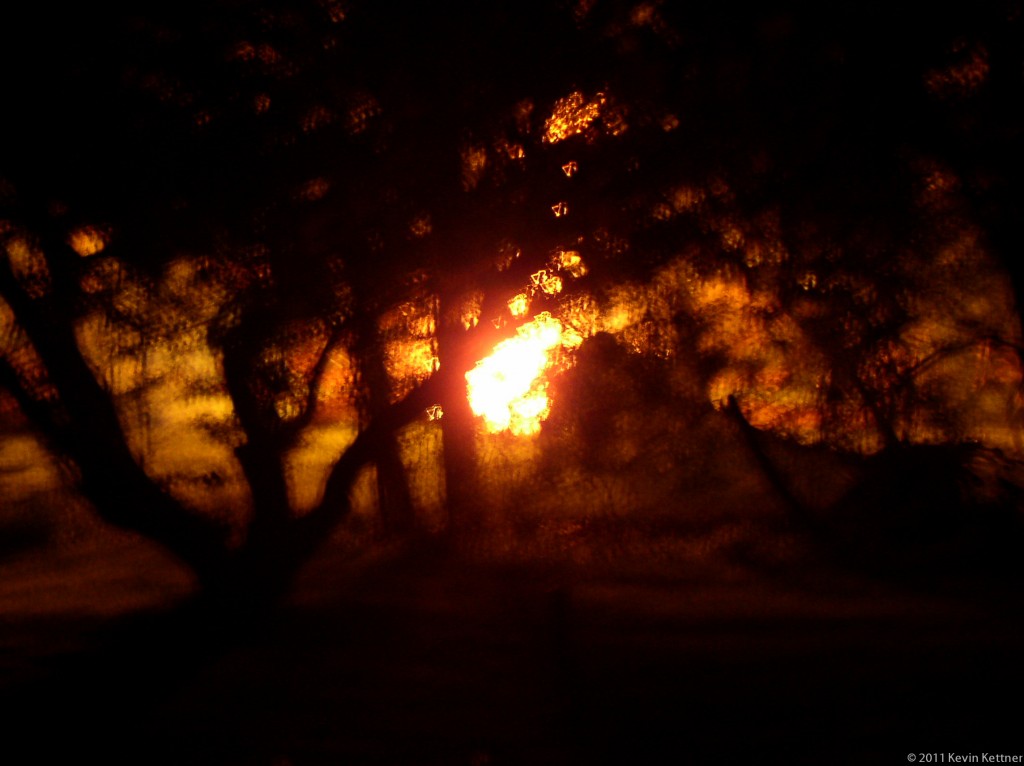 Bonfire Through Trees